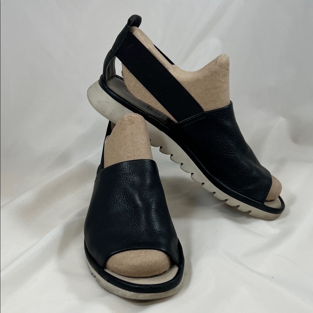 The Flexx shoes in black